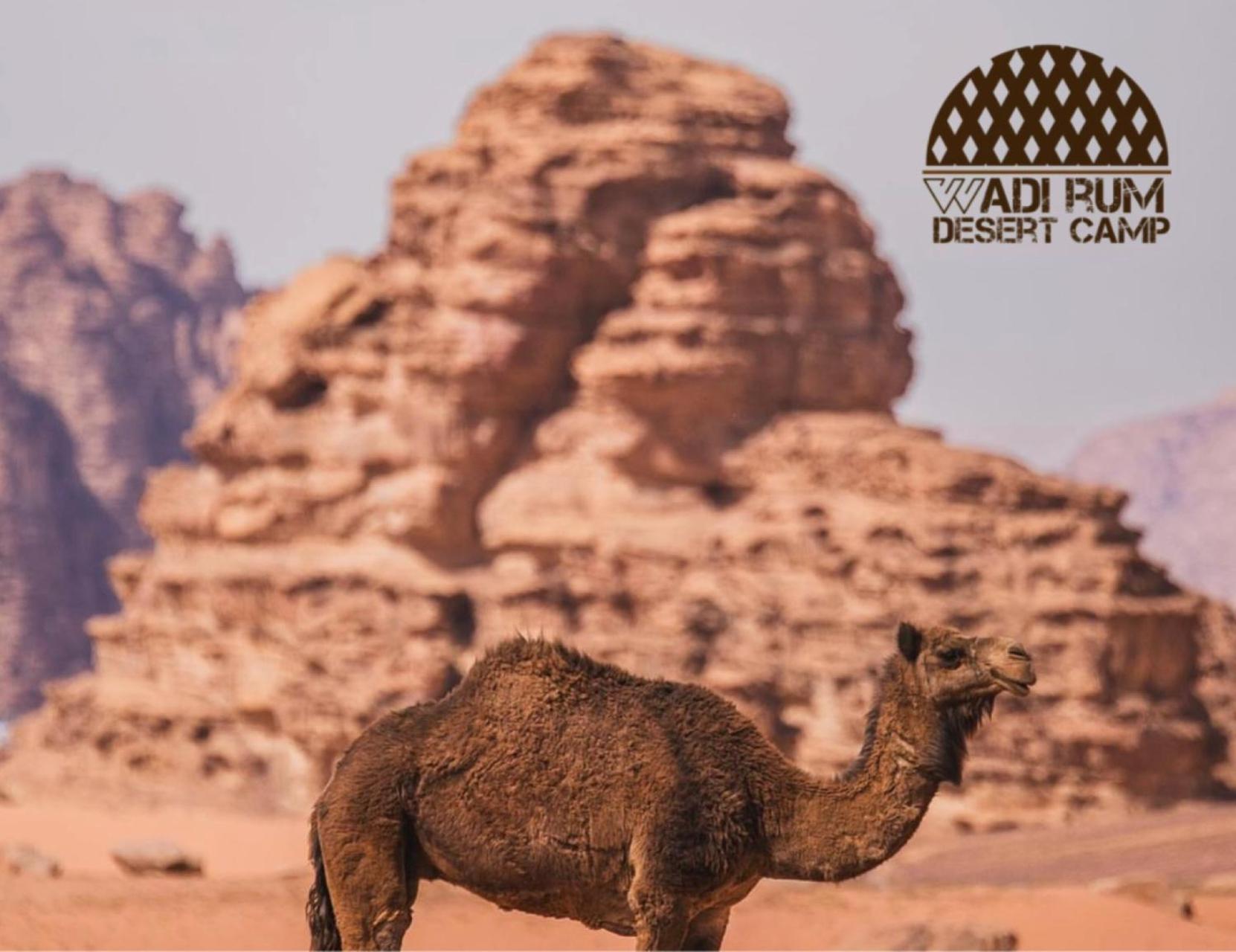 Rum Mere Luxury Camp Wadi Rum Exteriör bild